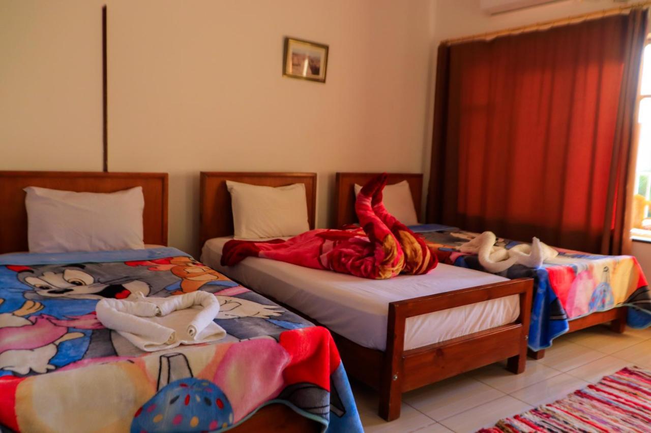 Thebes Hotel الأقصر المظهر الخارجي الصورة