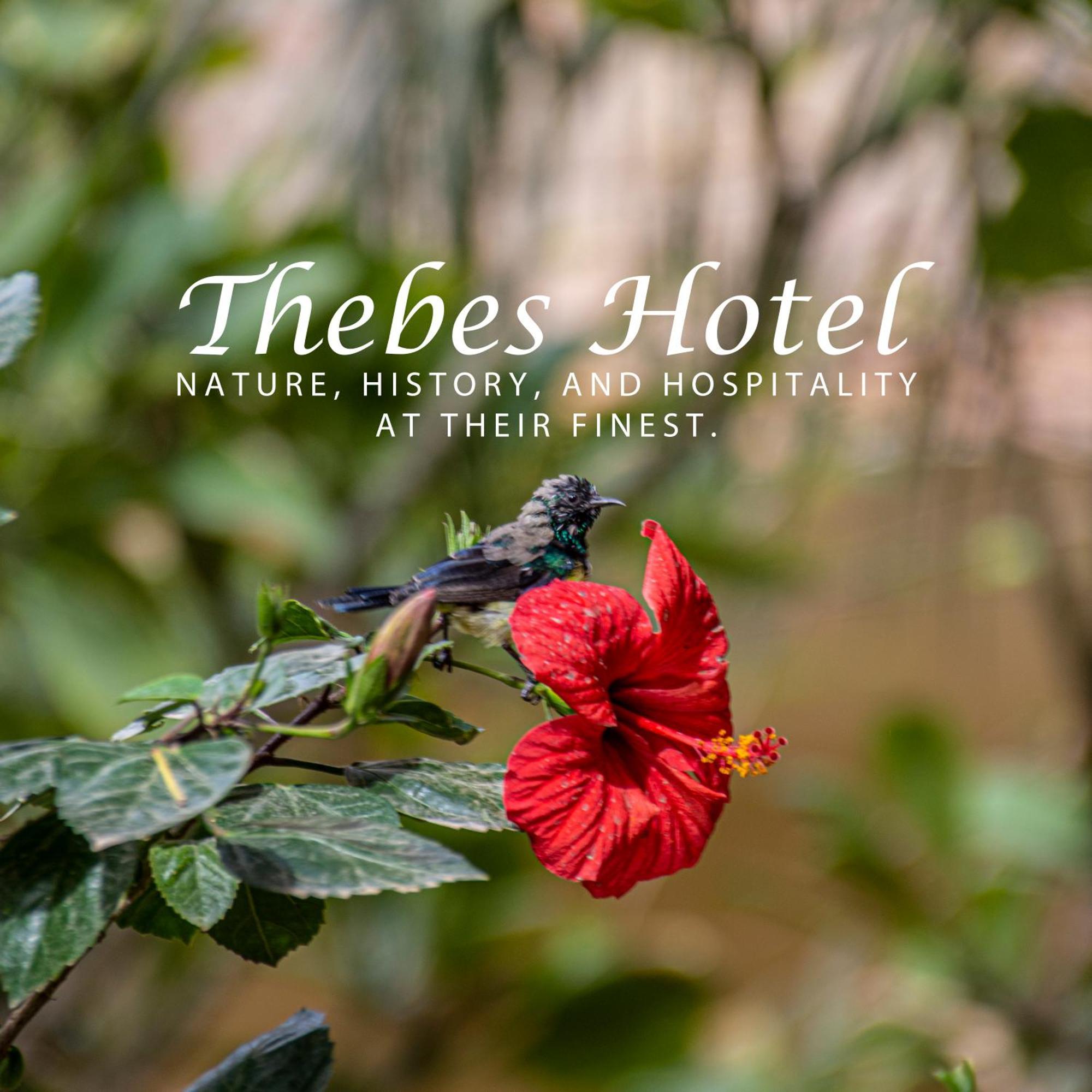 Thebes Hotel الأقصر المظهر الخارجي الصورة