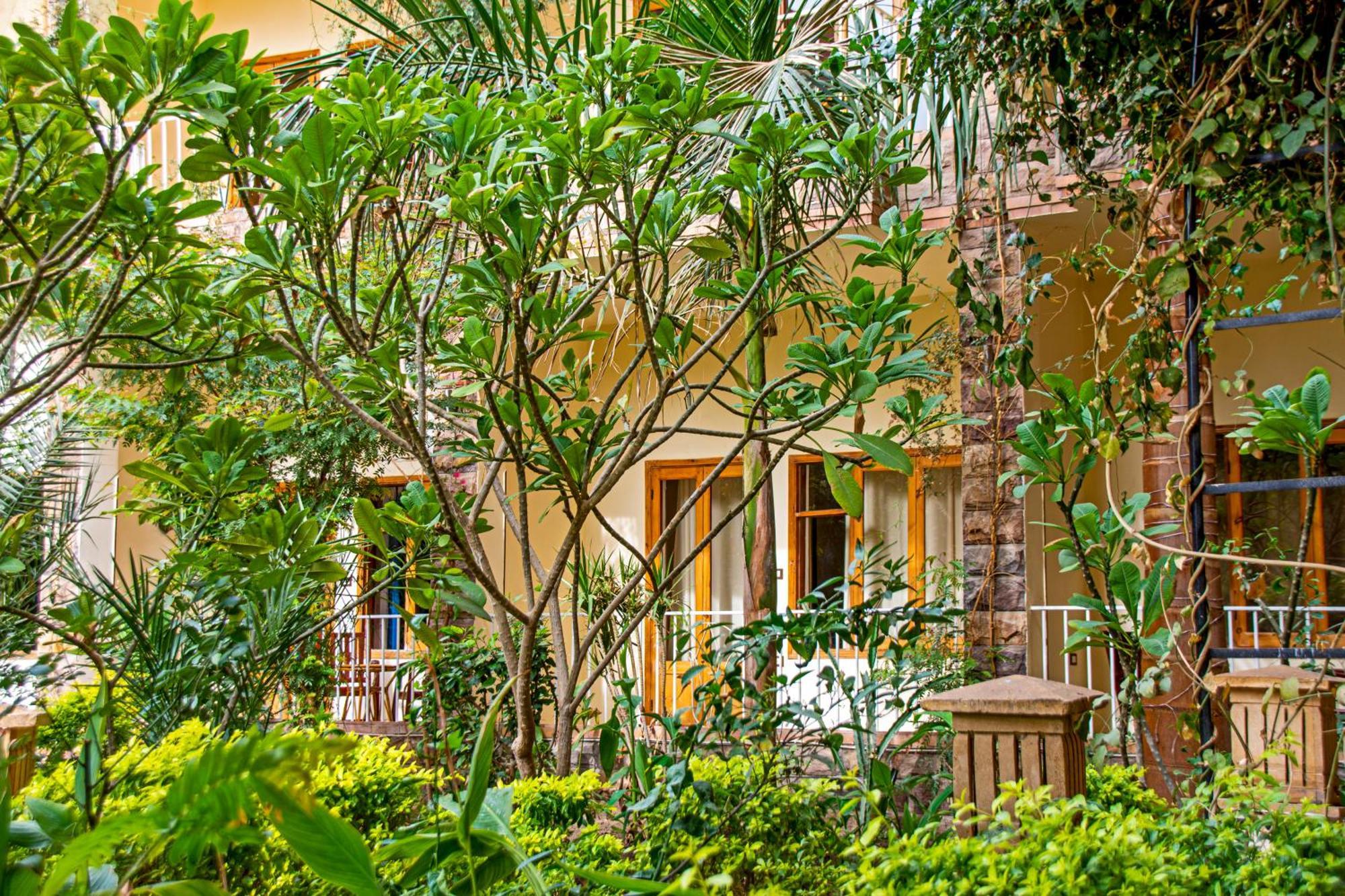 Thebes Hotel الأقصر المظهر الخارجي الصورة