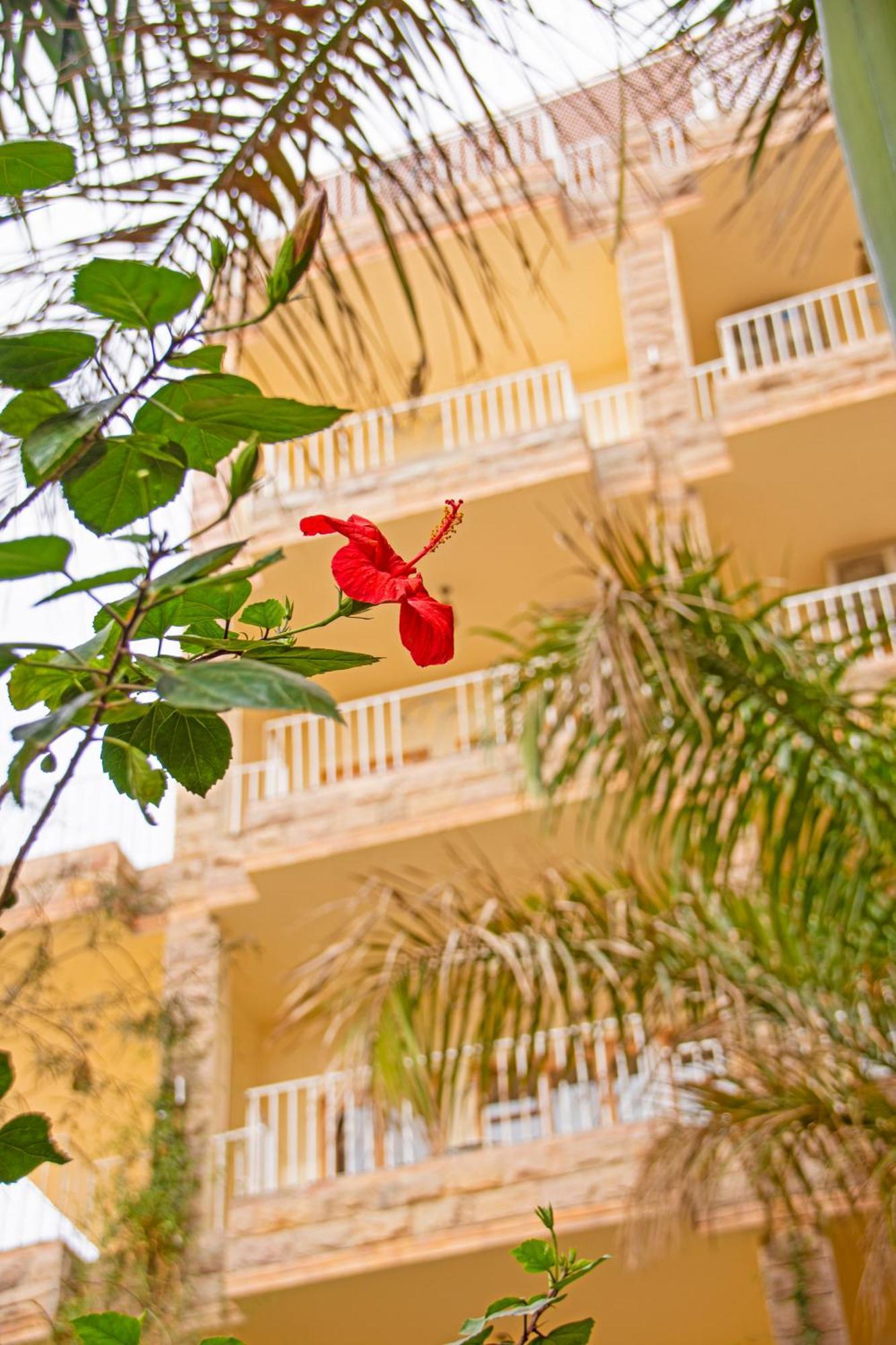 Thebes Hotel الأقصر المظهر الخارجي الصورة